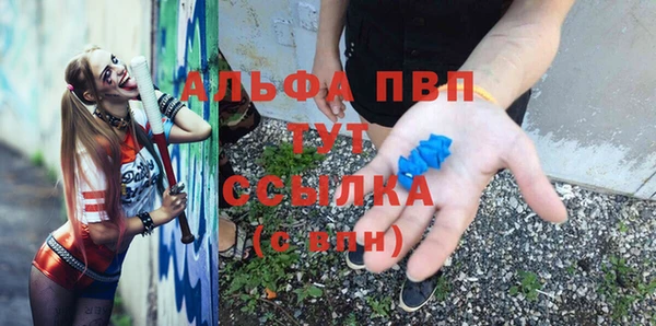 стаф Зеленодольск