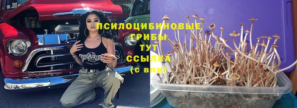 мдпв Зерноград
