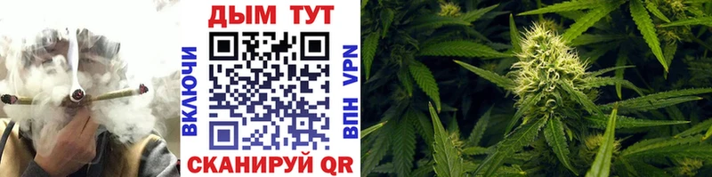 Бошки марихуана THC 21%  Купить где  Бирюч 